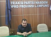 Viral Soal Elfianah Cabup Mesuji, Budi Yuhanda beri Klarifikasi