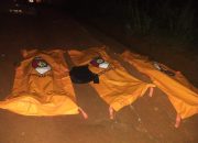 Grebek Judi Sabung Ayam di Way Kanan, Tiga Polisi Gugur