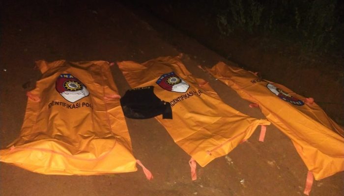 Grebek Judi Sabung Ayam di Way Kanan, Tiga Polisi Gugur