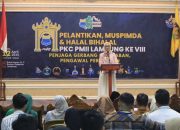 ampung Masuk 6 Besar Penghasil Jagung Nasional