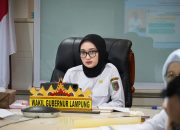 Wagub Lampung, Jihan Nurlela Ikuti Peluncuran IPKD dan MCP