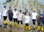 Gubernur Lampung Tanam Mangrove dan Tinjau Inovasi Appostrap di Pesawaran