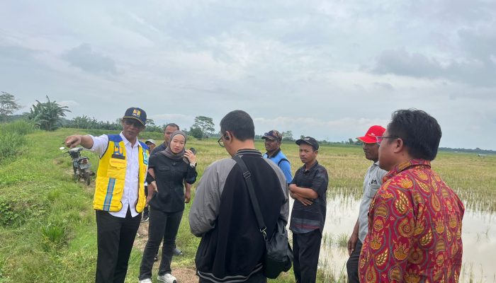 Normalisasi Tersier Mendesak, Lesty Turun Tangan