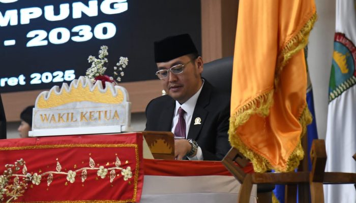 DPRD Lampung Dukung Transformasi Taksi Listrik, Tekankan Regulasi Jelas dan Berkelanjutan