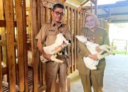 Pemprov Lampung Luruskan Isu Supply–Demand Daging Sapi