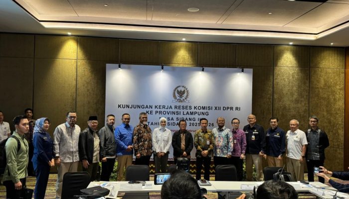 Dorong Percepatan Energi Terbarukan, Iswan H. Caya dan Imelda Tegaskan Lampung Harus Nikmati Nilai Tambah