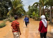 Lesty Putri Utami Tinjau Lokasi Banjir di Lampung Selatan, Dorong Perbaikan Tanggul Way Galih