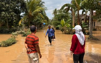 Lesty Putri Utami Tinjau Lokasi Banjir di Lampung Selatan, Dorong Perbaikan Tanggul Way Galih