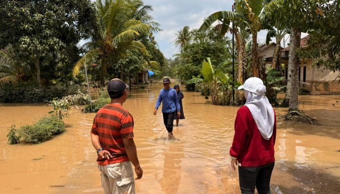 Lesty Putri Utami Tinjau Lokasi Banjir di Lampung Selatan, Dorong Perbaikan Tanggul Way Galih