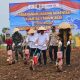 Ikut Tanam Raya Jagung di Pesawaran, Syukron Muchtar Dorong Ketahanan Pangan