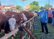 Pemprov Lampung Tegaskan Pasokan Daging Sapi dan Kerbau Tahun 2025 Aman
