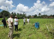 Koperasi IJP Maju Sejahtera Gandeng Gapoktan Lampung Timur