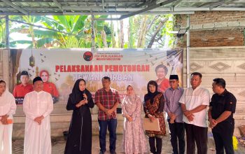 Sembelih 14 Ekor Hewan Kurban, PDIP Lampung Berbagi Kasih dengan Kader dan Masyarakat