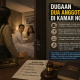 Dua Aleg Bandar Lampung Diduga Berduaan Di Kamar Hotel